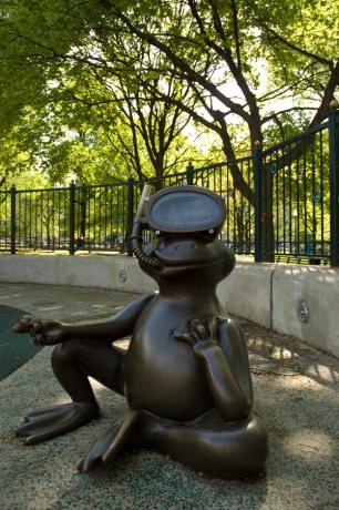 46. Frogs of Tadpole Playground - 4